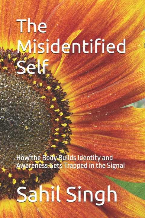Kniha The Misidentified Self Sahil Singh
