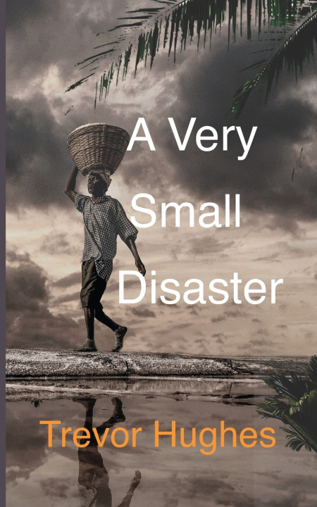 Kniha A Very Small Disaster Trevor Hughes
