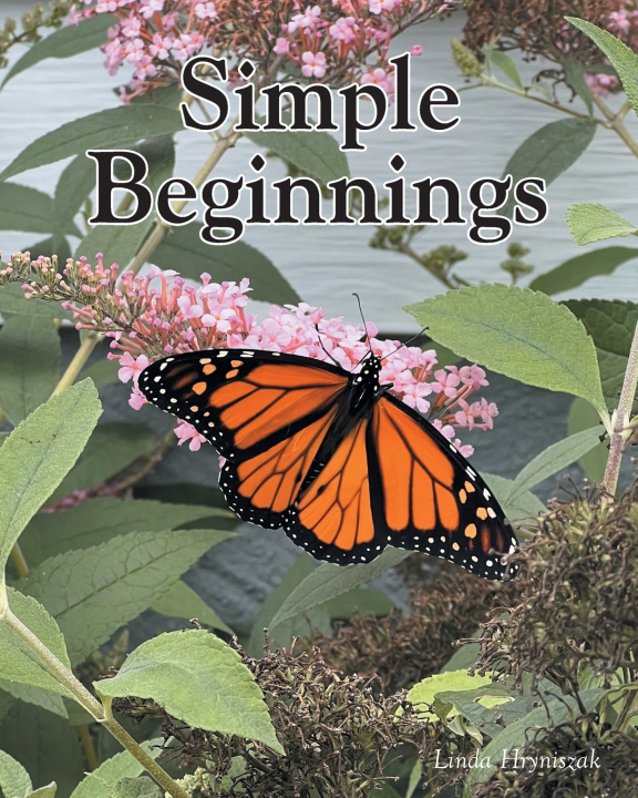Kniha Simple Beginnings Linda Hryniszak