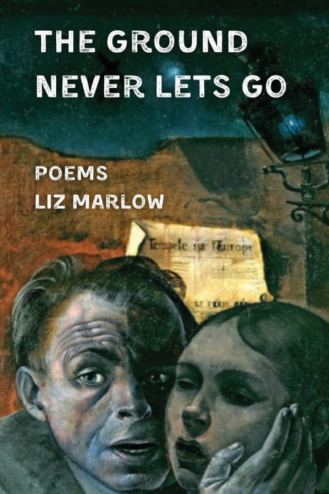 Book The Ground Never Lets Go Liz Marlow