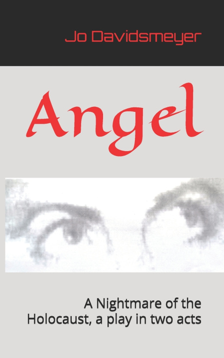 Kniha Angel Jo Davidsmeyer