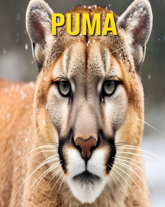 Kniha Puma Susan Pharo