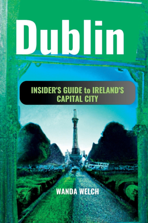 Kniha Dublin Wanda Welch