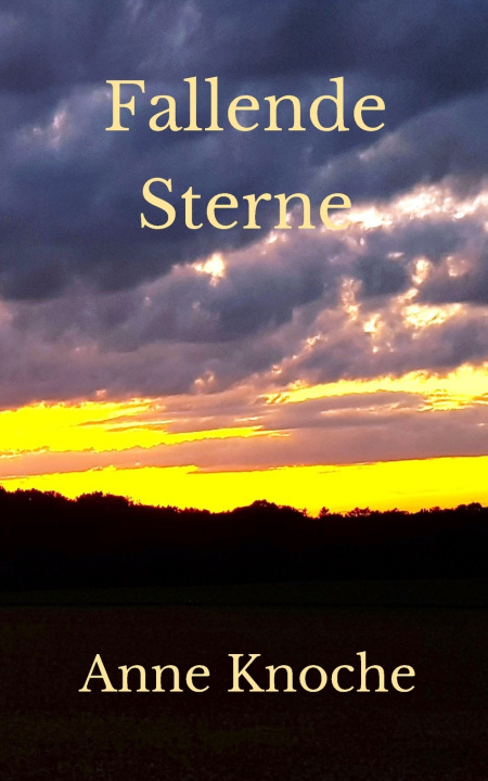 Kniha Fallende Sterne Anne Knoche
