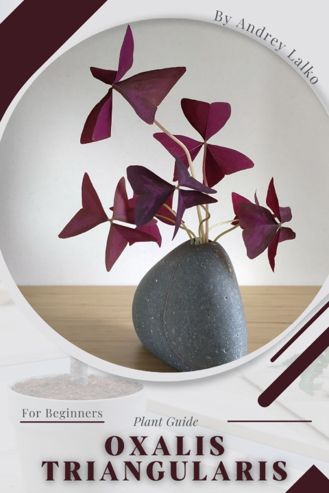 Kniha Oxalis triangularis Andrey Lalko