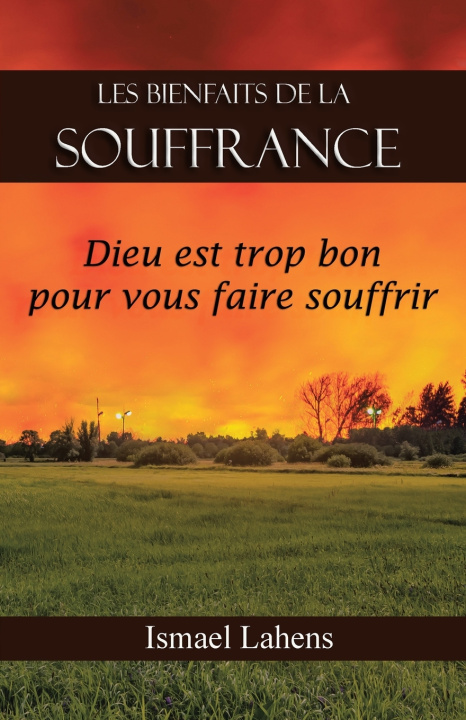 Knjiga Les Bienfaits de la Souffrance Ismael Lahens