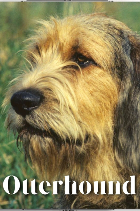 Kniha Otterhound Nina Pustova