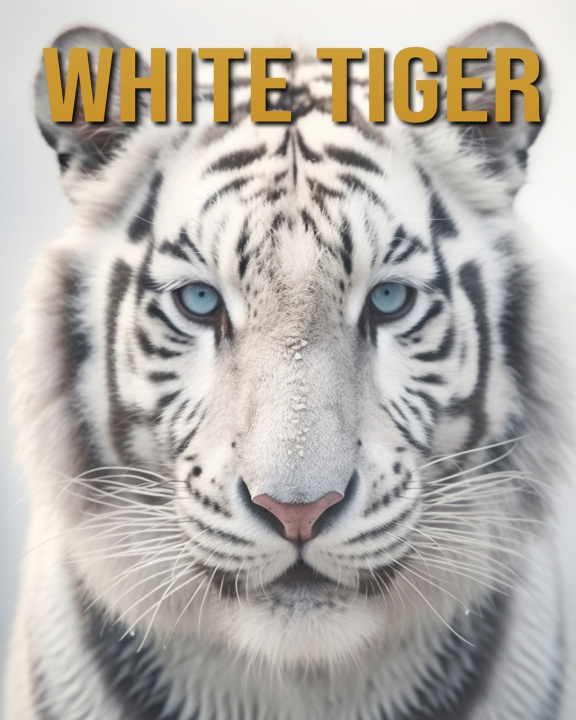 Knjiga White Tiger Diane Donjuan