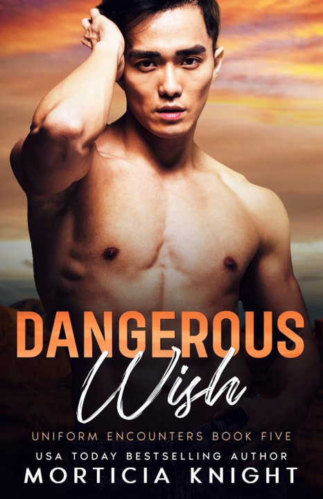 Kniha Dangerous Wish Morticia Knight