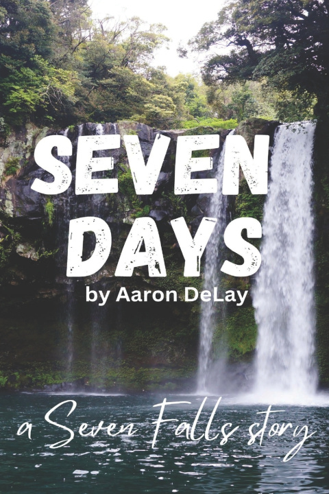 Kniha Seven Falls Aaron DeLay