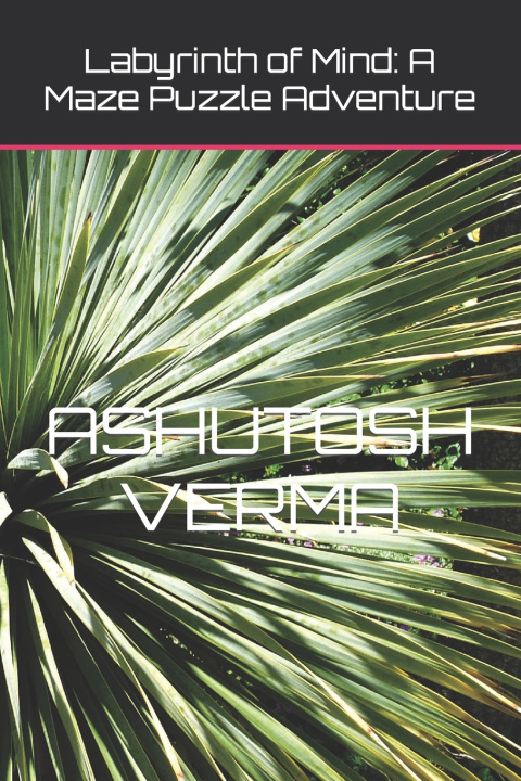 Книга Labyrinth of Mind ASHUTOSH VERMA