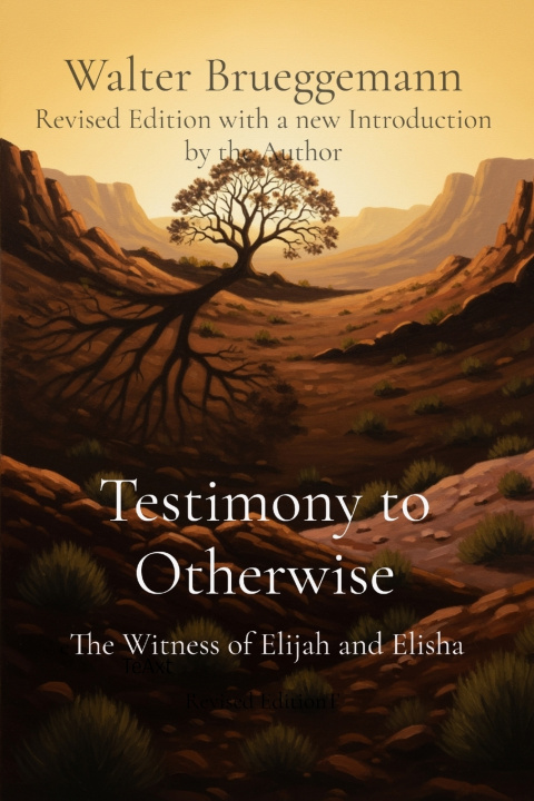 Książka Testimony to Otherwise Walter Brueggemann