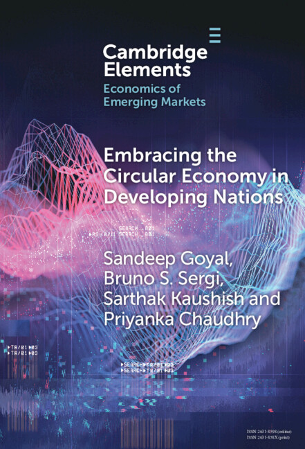 Книга Embracing the Circular Economy in Developing Nations Sandeep Goyal