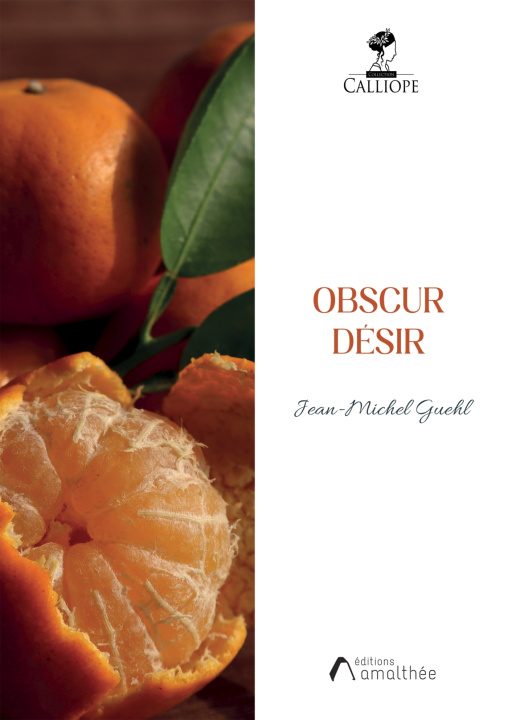 Kniha Obscur désir Jean Michel GUEHL