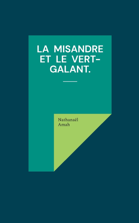 Könyv MISANDRE ET VERT GALANT AMAH NATHANAEL