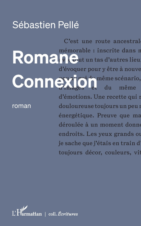 Kniha Romane Connexion Sébastien Pellé