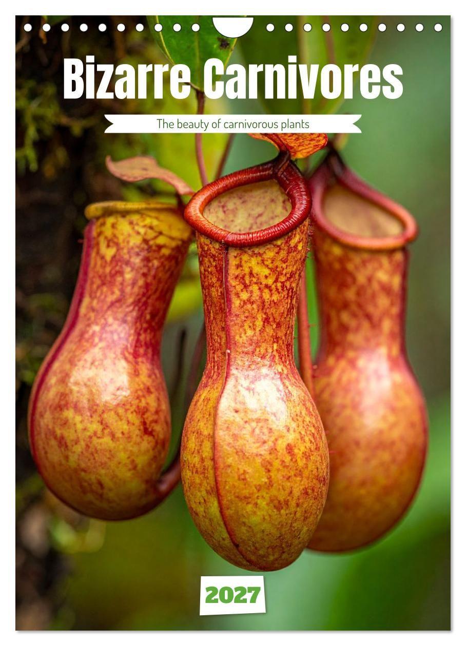 Kalendár/Diár Bizarre Carnivores (Wall Calendar 2027 DIN A4 portrait), CALVENDO 12 Month Wall Calendar Calvendo