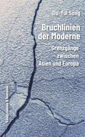 Knjiga Bruchlinien der Moderne Du-Yul Song