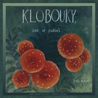 Buch Klobouky, kam se podíváš Ditta Kůtová