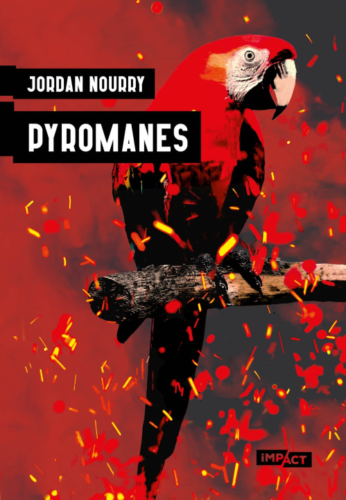 Kniha Pyromanes Jordan Nourry