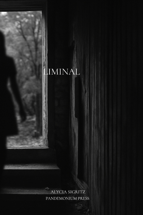 Könyv Liminal Alycia Sigritz