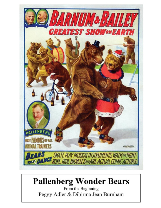 Kniha Pallenberg Wonder Bears - From the Beginning Peggy Adler