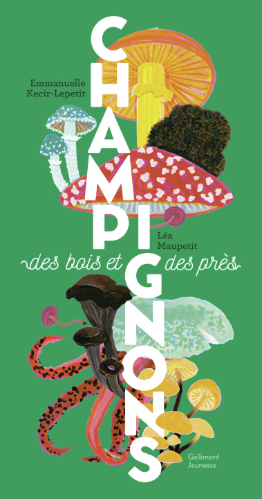 Kniha Champignons Kecir-Lepetit