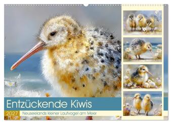 Календар/тефтер Entzückende Kiwis. Neuseelands kleiner Laufvogel am Meer (Wandkalender 2027 DIN A2 quer), CALVENDO Monatskalender Calvendo