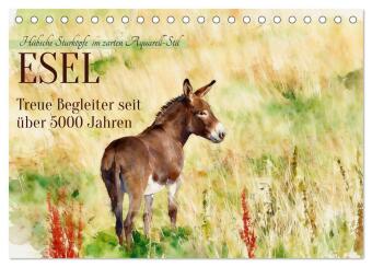 Kalendár/Diár Esel - Treue Begleiter seit über 5000 Jahren (Tischkalender 2027 DIN A5 quer), CALVENDO Monatskalender Calvendo