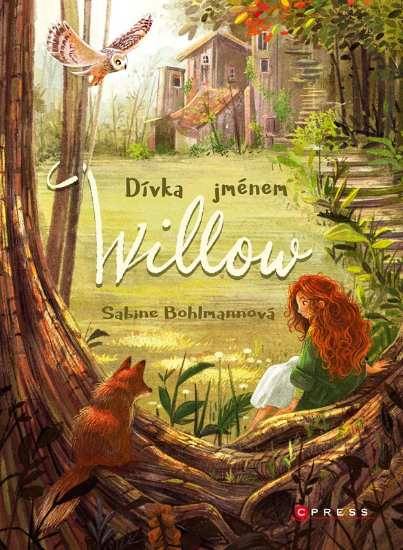 Buch Dívka jménem Willow Sabine Bohlmannová