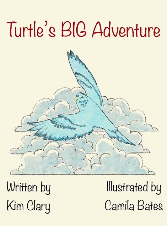 Kniha Turtle's Big Adventure Kim Clary