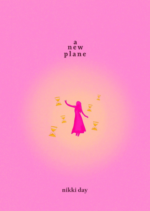 Kniha A New Plane Nikki Day