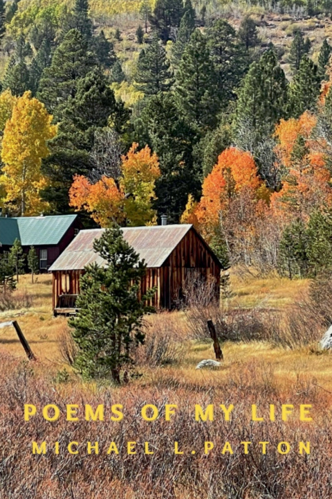 Kniha Poems of My Life Michael L. Patton
