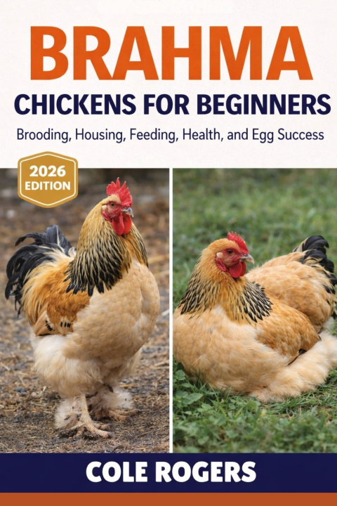 Книга BRAHMA CHICKENS FOR BEGINNERS COLE ROGERS