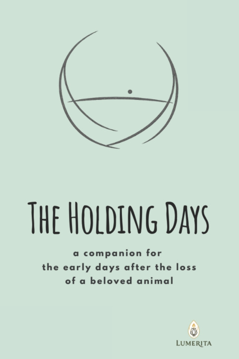 Könyv The Holding Days K.M. McArthur