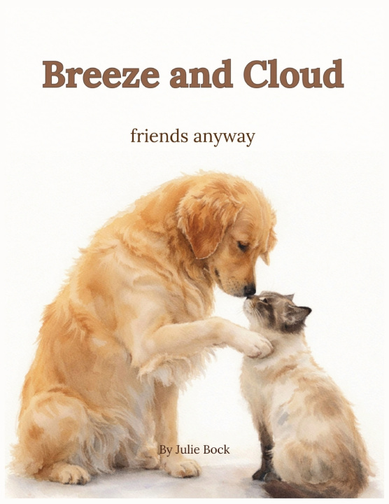 Kniha Breeze and Cloud Julie Bock