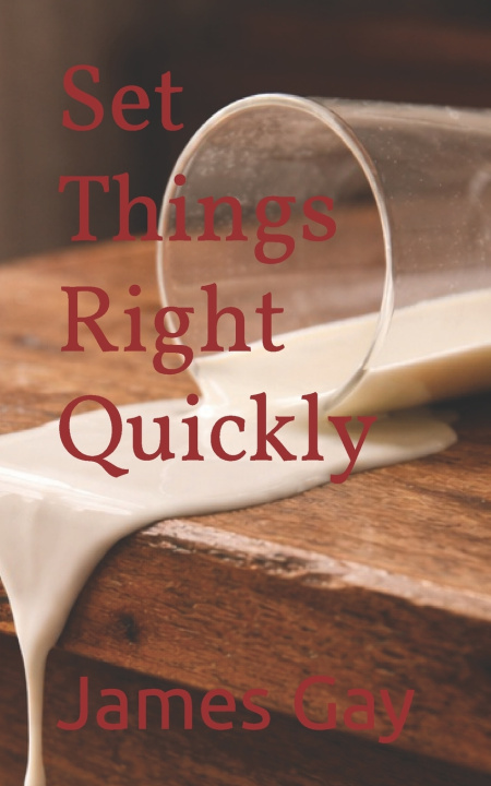 Kniha Set Things Right Quickly James E. Gay