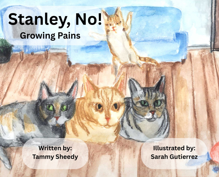 Knjiga Stanley, No! Tammy Sheedy