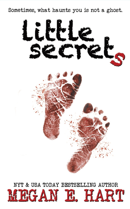 Kniha Little Secrets Megan E. Hart