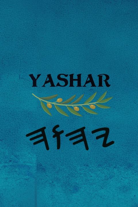 Kniha Yashar Boss