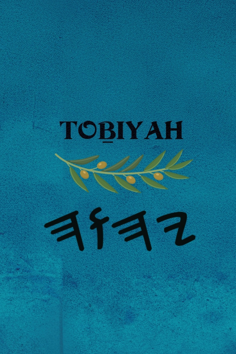 Knjiga Toḇiyah Boss