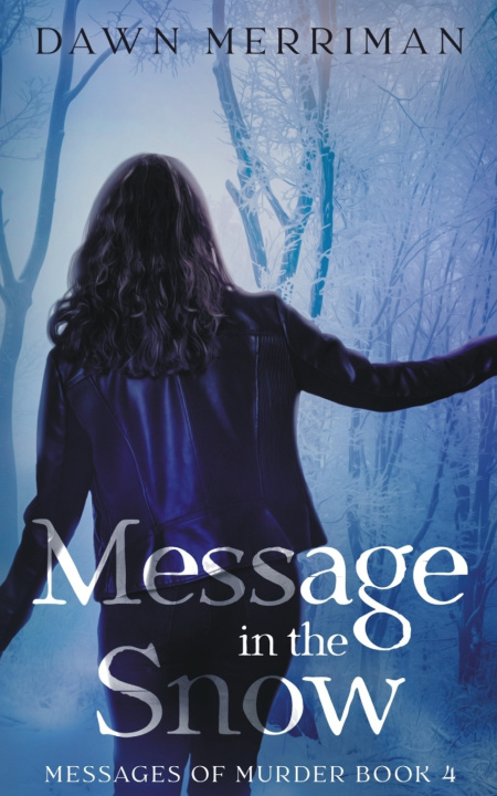 Kniha MESSAGE in the SNOW Dawn Merriman