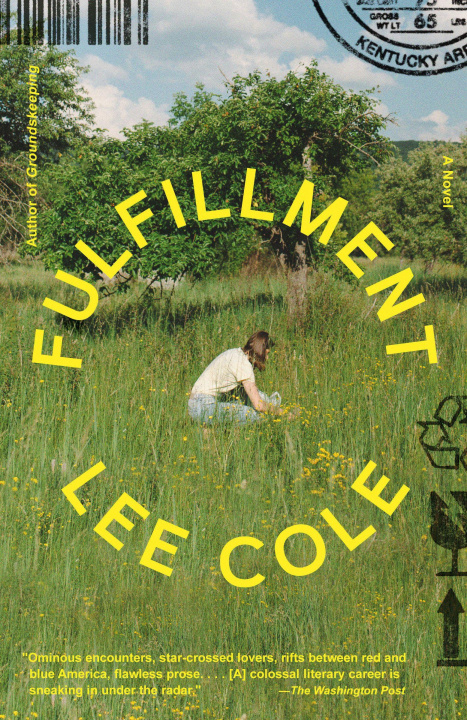 Kniha Fulfillment COLE LEE