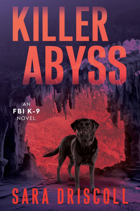 Книга Killer Abyss DRISCOLL SARA