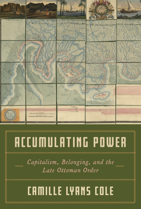 Kniha Accumulating Power Camille Lyans Cole