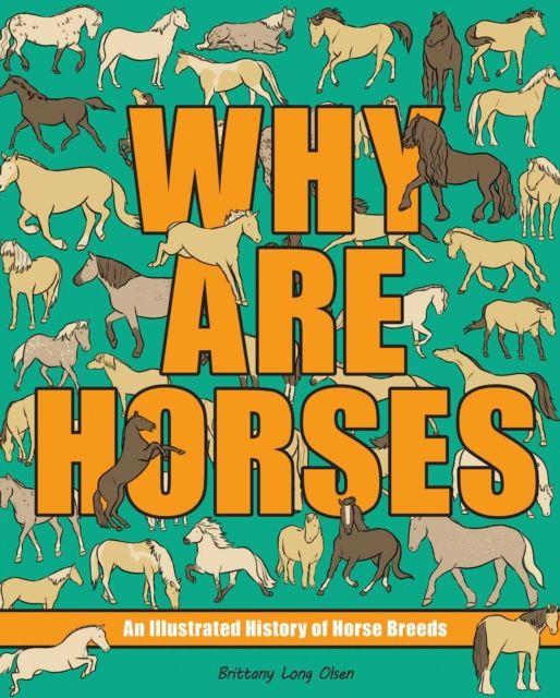 Buch Why Are Horses Brittany Long Olsen