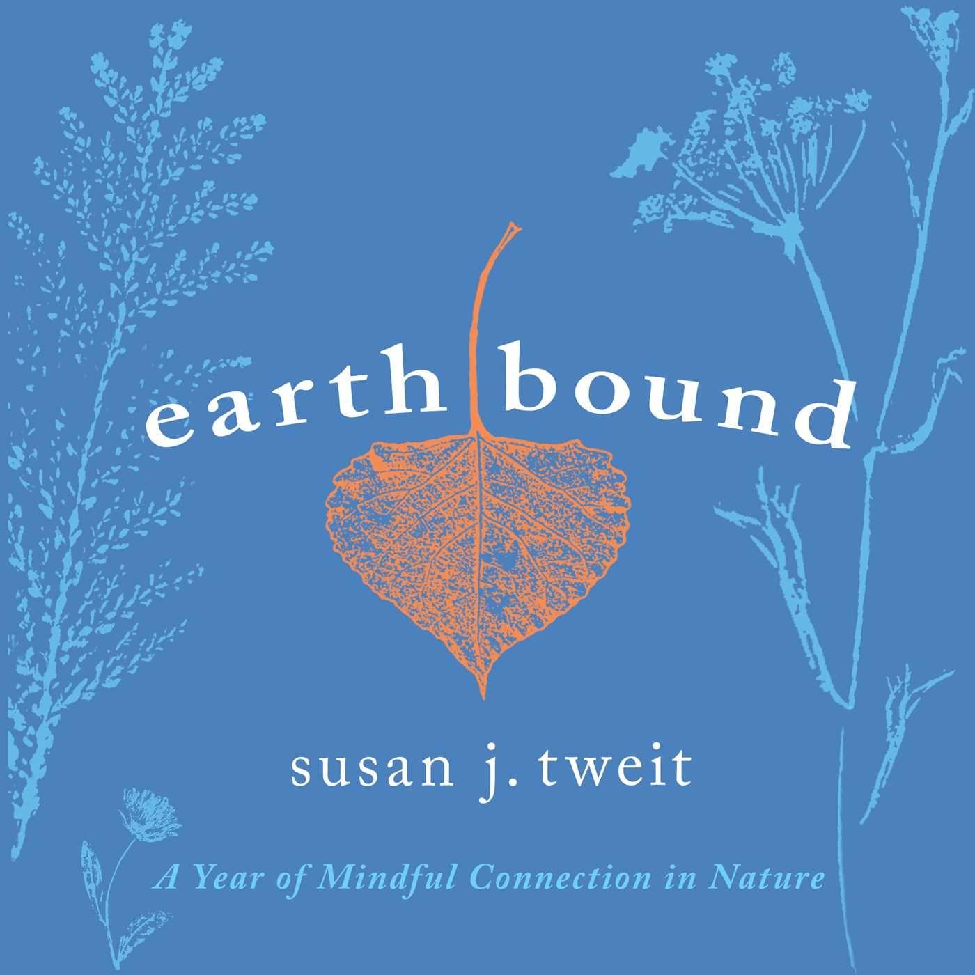 Book Earthbound TWEIT