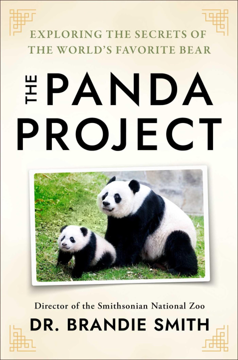 Kniha The Panda Project SMITH BRANDIE