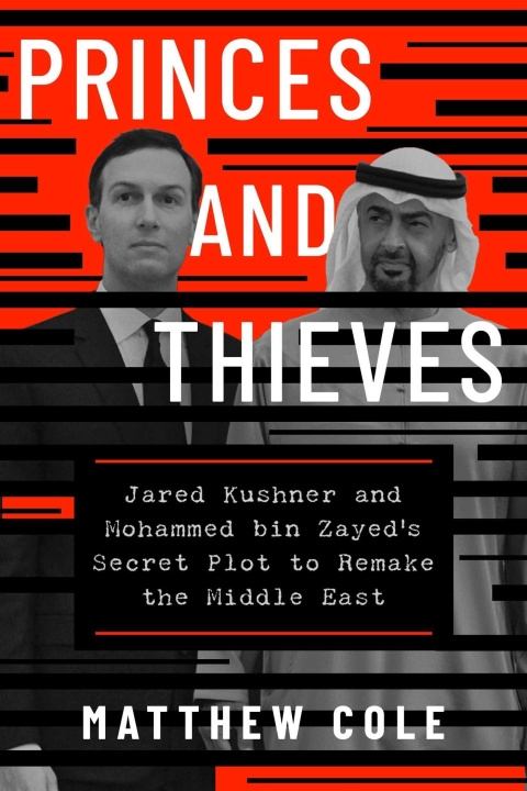 Kniha Princes and Thieves COLE MATTHEW