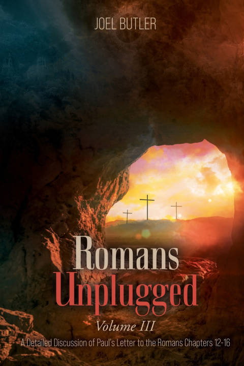 Kniha Romans Unplugged, Volume III Joel Butler
